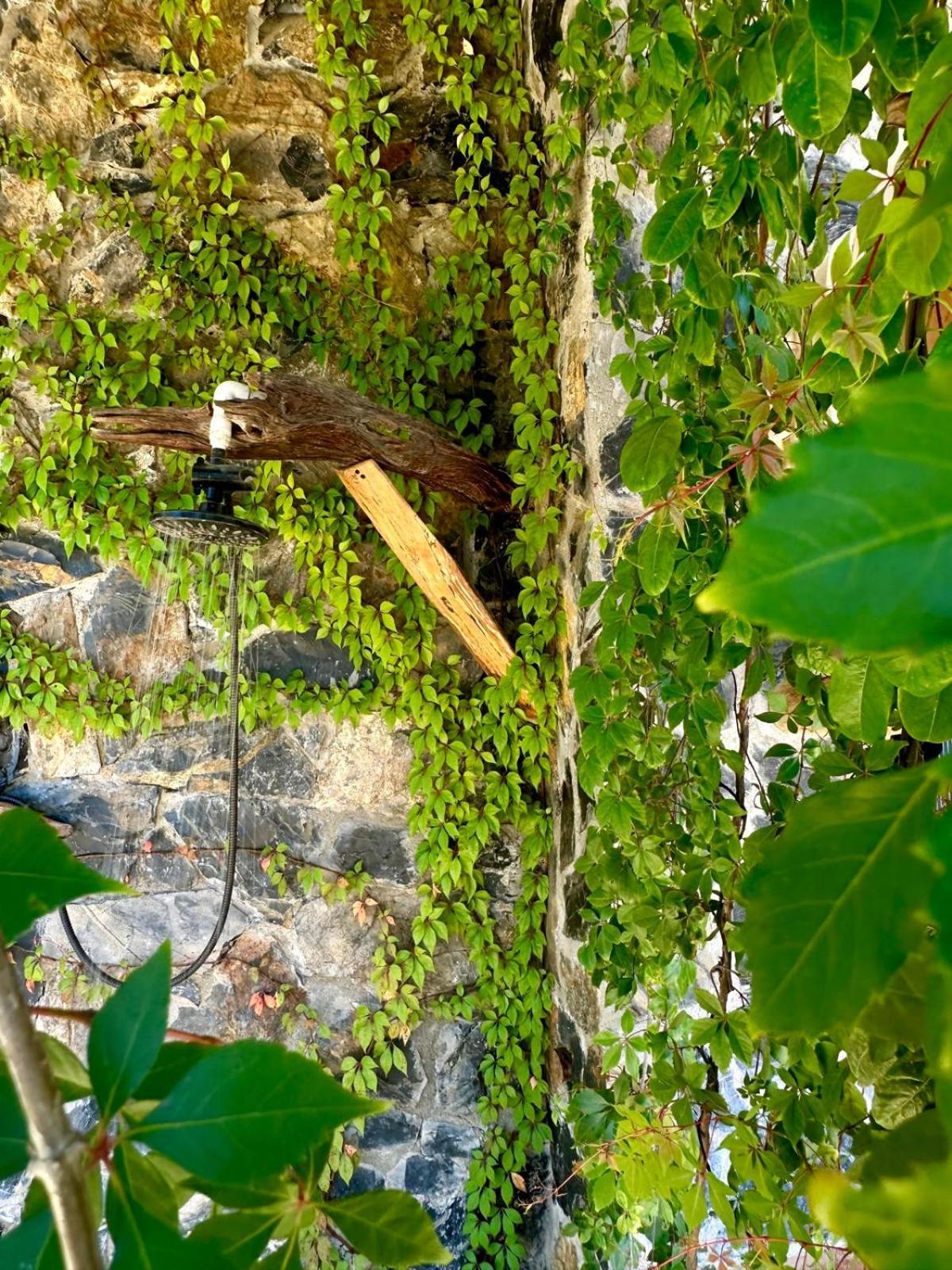 Casa Jasmin Bed & Breakfast 特隆戈内斯 外观 照片